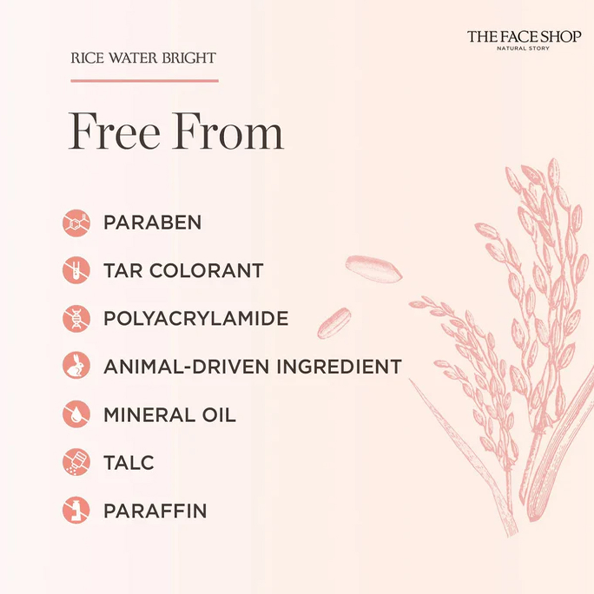 THE FACE SHOP RICE WATER BRIGH - Luxury Skincare Shop reseña y precio